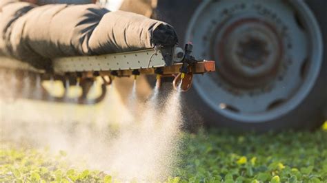 highly toxic pesticide  approved  epa     states earthcom