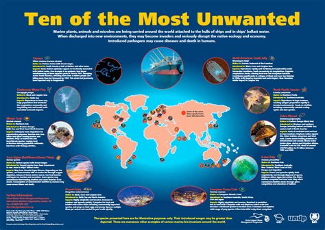 Ballast Water Management Convention: Overview