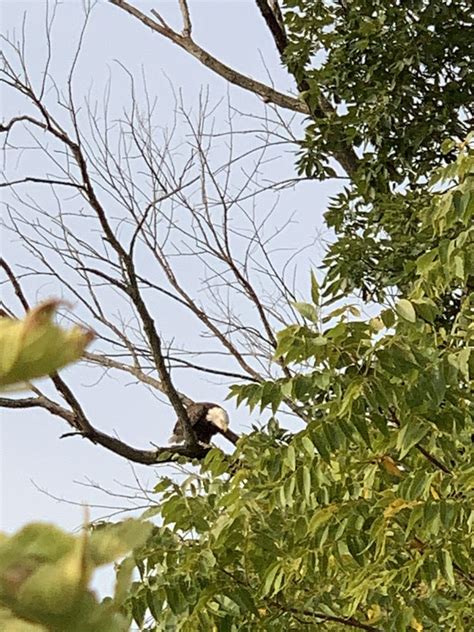 SHABBONA LAKE STATE PARK - Updated September 2024 - 19 Photos & 10 ...