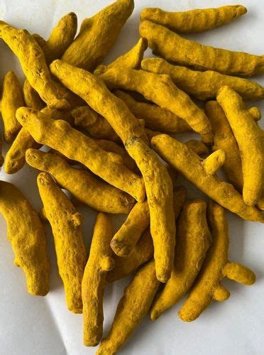 Dried Turmeric Finger At Kg Organic Turmeric Finger In Mathura