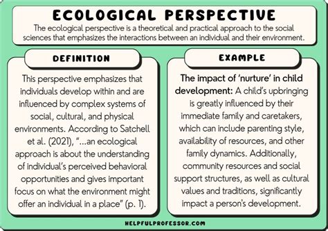 Ecological Perspective: Definition and Examples (2025)