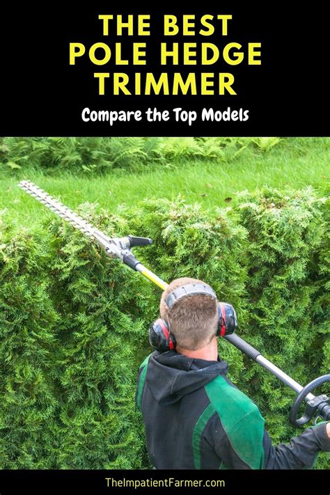 Compare The Best Pole Hedge Trimmers To Trim The Tallest Hedges Artofit