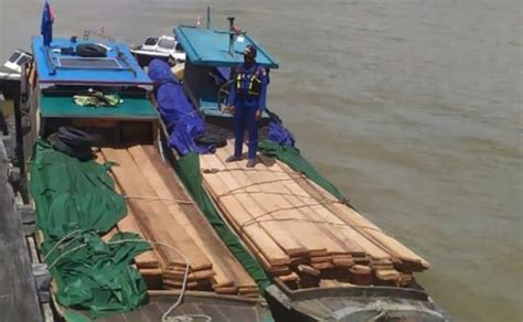 Dalam 2 Bulan Polda Riau Tangkap 6 Unit Kapal Pengangkut Kayu Ilegal