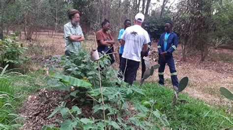 Syntropic Farming A Game Changer For Modern Agriculture