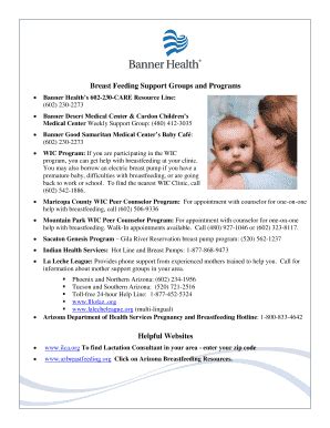 Fillable Online Breast Feeding Support Groups And Programs Banner