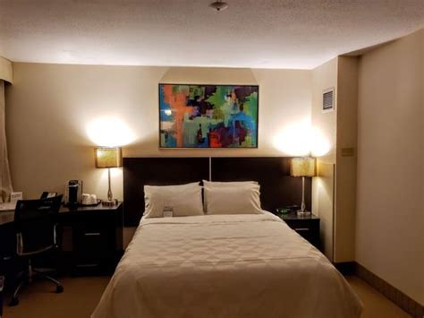 HOLIDAY INN TORONTO DOWNTOWN CENTRE - 57 Photos & 76 Reviews - 30 ...