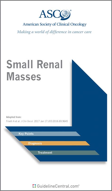 Small Renal Masses Guidelines Pocket Guide Guideline Central