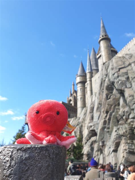 Day 6 of my trip to Japan Octi has judt visited Hogwarts Castle in ...