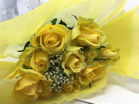 12 Long Stem Coloured Roses 50 60cm Choose Colour Mcknights