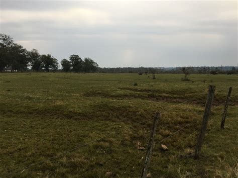 Usina que usará biomassa de casca de arroz para gerar energia recebe