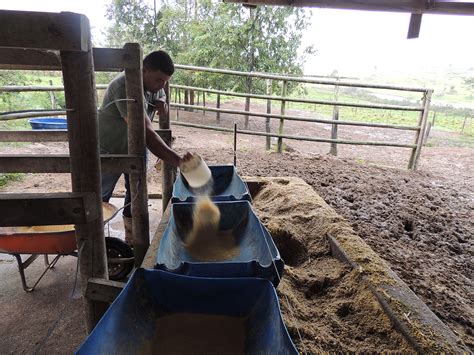 Produtor de leite investe e aumenta produção em cinco vezes mesmo