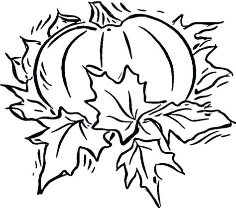 Large Print Coloring Pages For Adults At Free