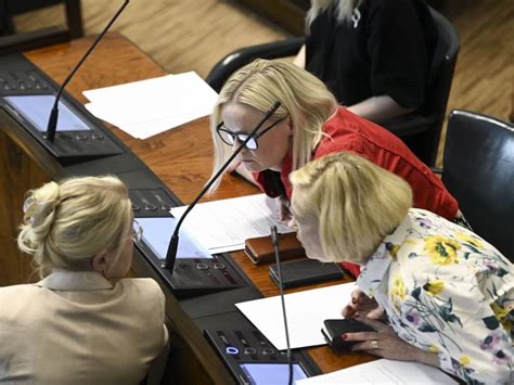 Many Finns Party Ministers Have Pointed To Replacement Theory