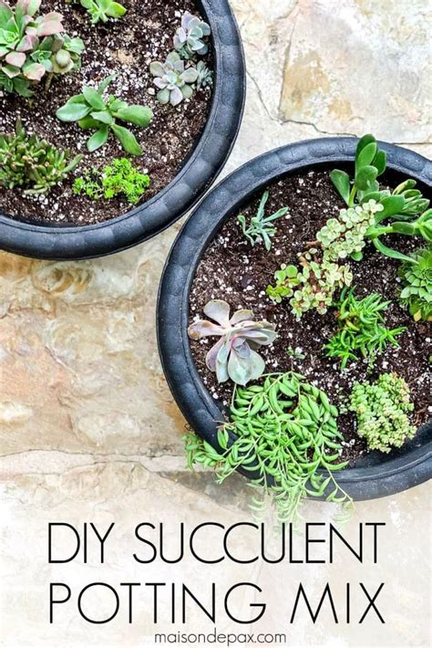 Diy Succulent Soil Potting Mix Maison De Pax