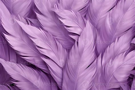 Purple Feathers Background Purple Feathers Pattern Feathers