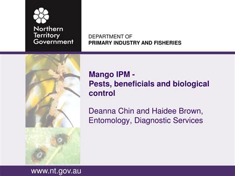 Ppt Mango Ipm Pests Beneficials And Biological Control Powerpoint Presentation Id1160664