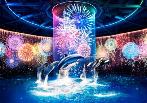 Maxell Aquapark Shinagawa จดแสดง Hanabi Aquarium BY NAKED WOM JAPAN