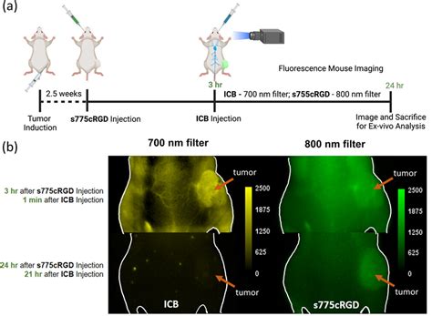 Fluorescence Imaging Using Deep Red Indocyanine Blue A Complementary