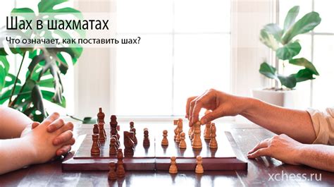 Шах в шахматах что означает как поставить шах xchess ru