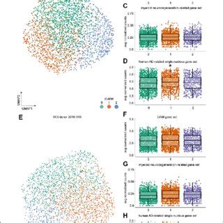 Single Cell Expression Profiling Of Microglia Identified Seven