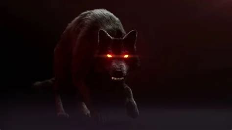 Scary wolf creeps. His eyes are burning.... | Stock Video | Pond5