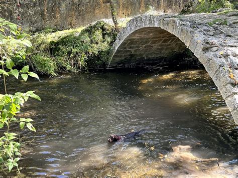 Autunno Giro In Italia E Trekking Con Gli Asini Alessandro