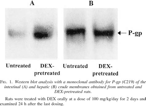 Figure 1 From Pharmacokinetic Interaction Of Cytochrome P450 3A Related