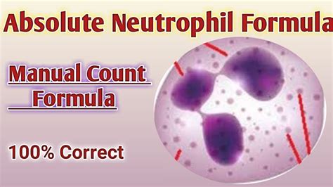 Lab Results Neutrophils Low at Rolando Ray blog