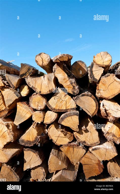 Oak Logs France Hi Res Stock Photography And Images Alamy