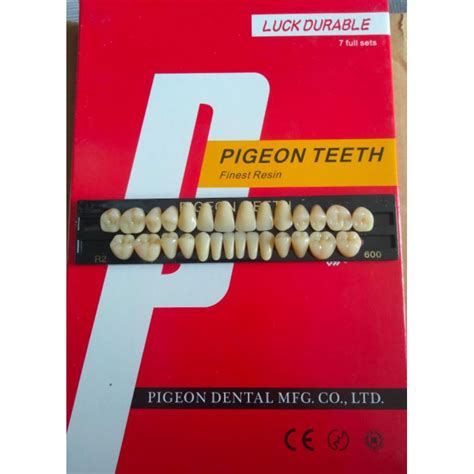 Jual Gigi Palsu Fullset Pigeon Gigi Tiruan Resin Teeth Dental