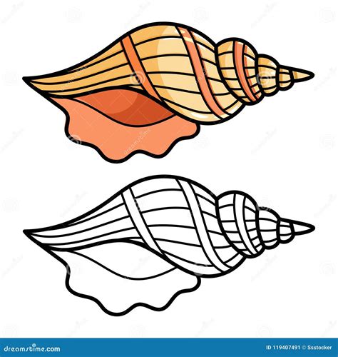 cartoon sea shell 5