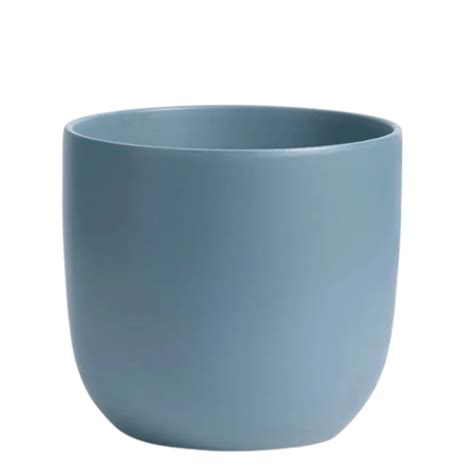 Soft Navy Egg Pot Mahonia