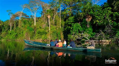 The Charm Of The Forests In Peru Landscapes And Biodiversity In Nature