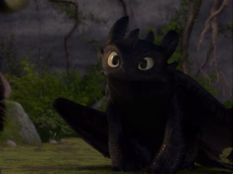 Night Fury Wallpaper Toothless Cute