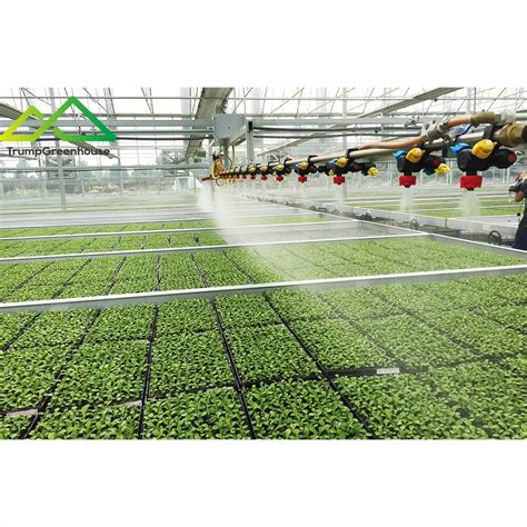 Agriculture Greenhouse Farm Drip Irrigation System Greenhouse Watering