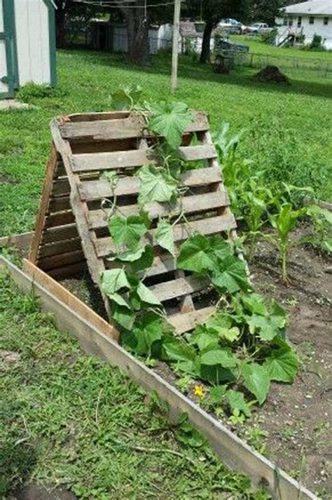 Easy And Cool Diy Bean Trellis Ideas Balcony Garden Web