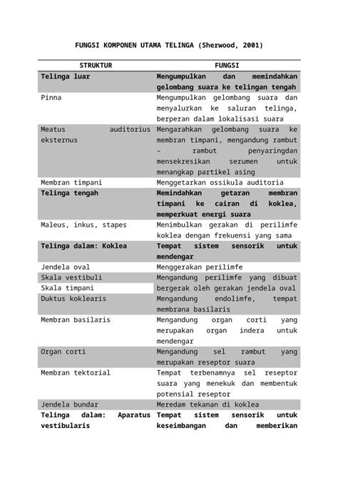 DOCX Fungsi Komponen Utama Telinga DOKUMEN TIPS