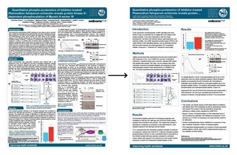 Research Poster Template Redesign For London School Of Hygiene