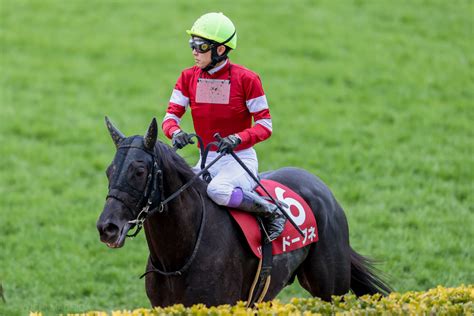 武豊騎手 今週の騎乗馬巴賞ではドーブネとのコンビ 競馬ニュースなら競馬のおはなし