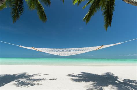 Hammock Under Palms On A Tropical Beach Photograph By Pete Atkinson