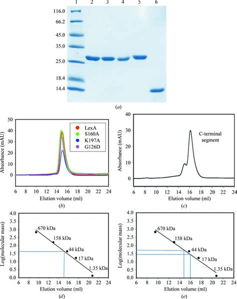 Iucr Biochemical Characterization Of Mycobacterium Tuberculosis Lexa