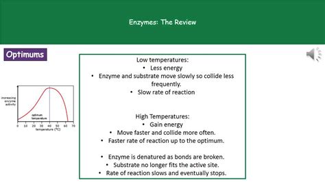 B3 4 Enzymes Higher Tier Summary Youtube