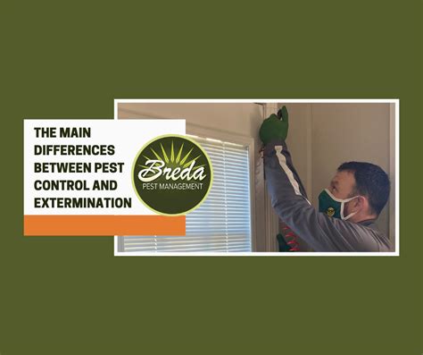 The Main Differences Between Pest Control and Extermination | Breda Pest Management