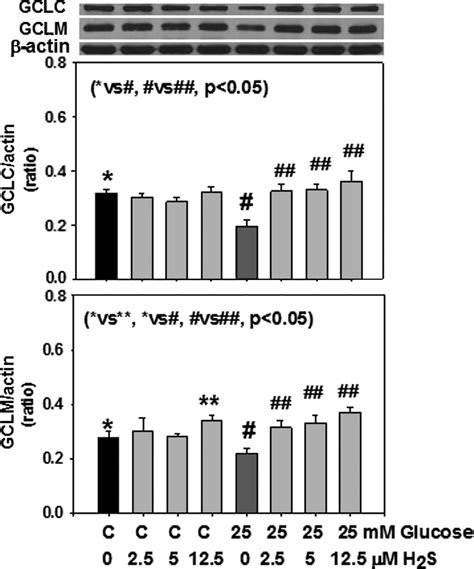 Hydrogen Sulfide Upregulates GlutamateCysteine Ligase Catalytic