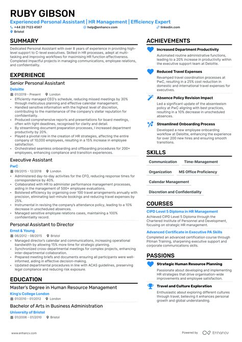 Ceo Cv Examples And Guide For 2024