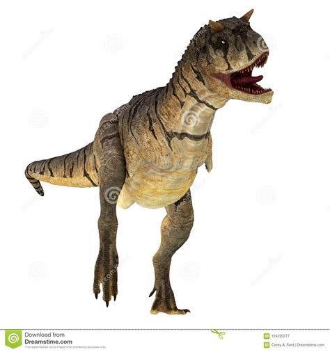 Dinossauro Do Sastrei Do Carnotaurus No Branco Ilustração Stock