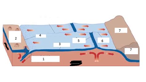 Formation and Destruction of Oceanic Crust Diagram | Quizlet