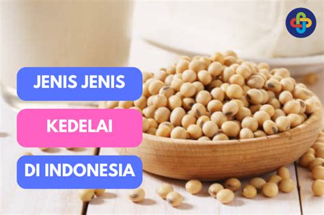 Jenis Jenis Kedelai Dari Hitam Hingga Edamame Keajaiban Varietas Kedelai