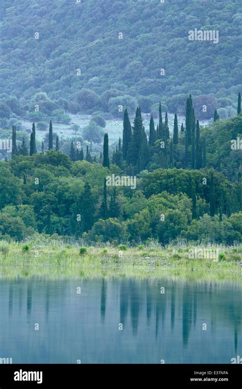 Greece Cypress Hi Res Stock Photography And Images Alamy