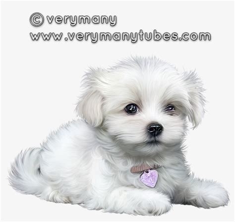 Cute Puppies, Clip Art, Animaux, Cutest Dogs, Illustrations - Dog ...